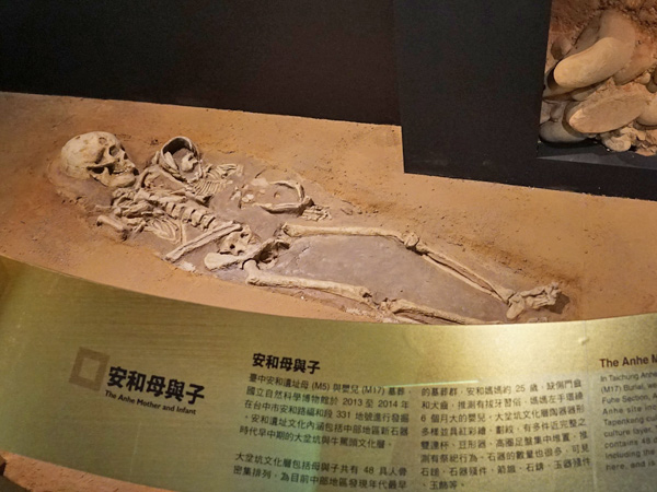 臺中史前人的新發現！ 科博館揭示安和遺址出土人骨文物