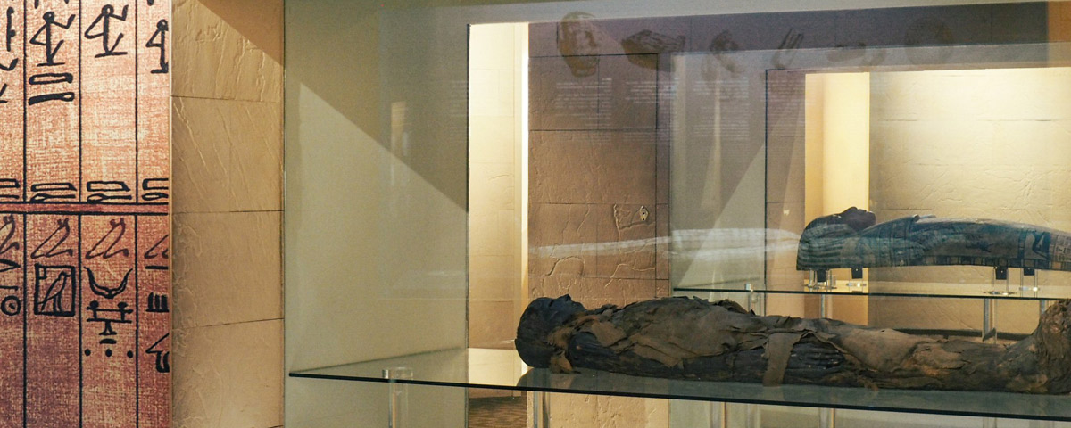 Classified as a superior quality mummy – Life Science Hall, National Museum of Natural Science