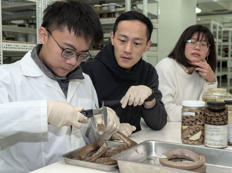黃晨瑋從國小開始喜歡野外自然觀察，科博館生物學組團隊指導他參與研究蛇類眼睛演化。