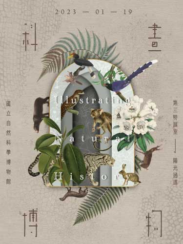 Illustrating Natural History