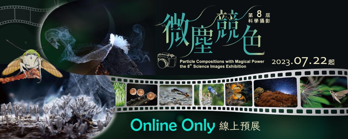 第八屆科學攝影比賽得獎作品公告