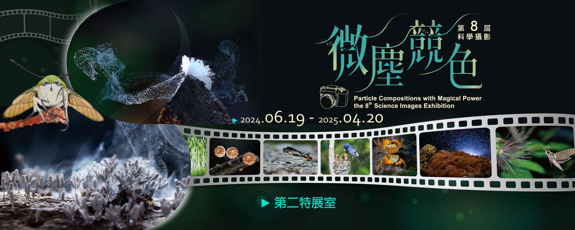 微塵競色≋第8屆科學攝影展