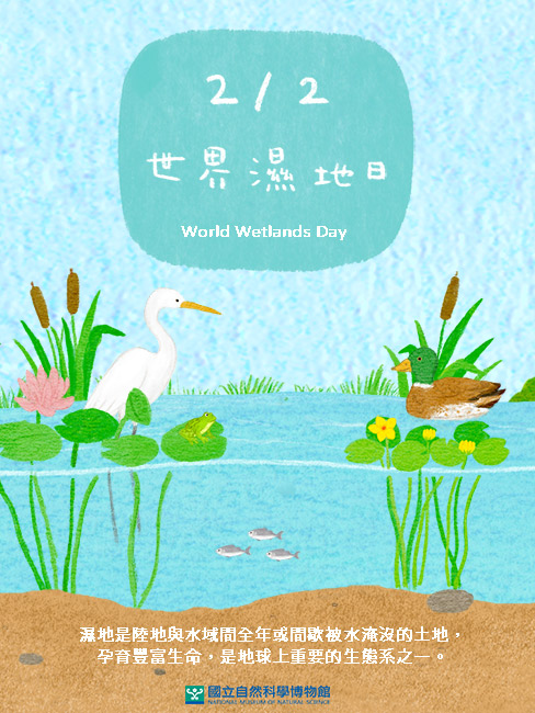 2月2日世界濕地日