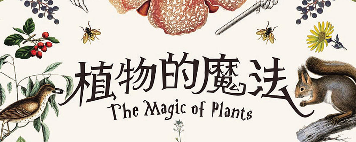 植物的魔法特展
