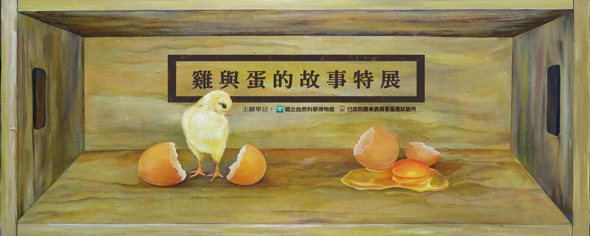  雞與蛋的故事特展