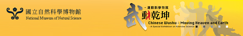 武動乾坤─運動科學特展