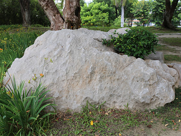 #102石灰岩
