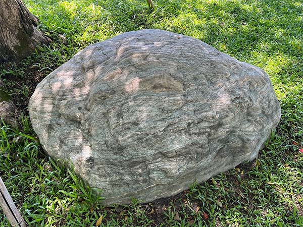 #110變質燧石岩含綠色片岩
