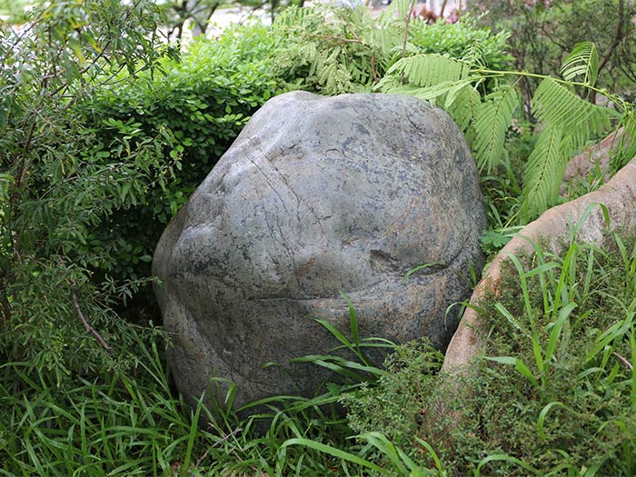 #149變質基性岩