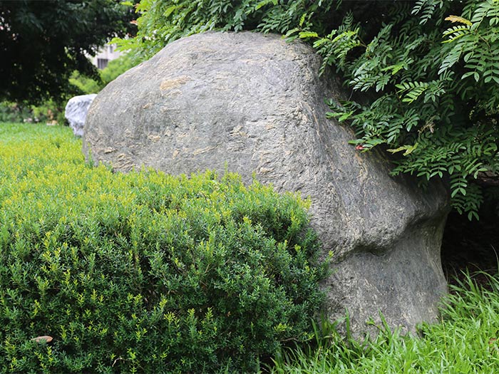 #157綠泥石片岩
