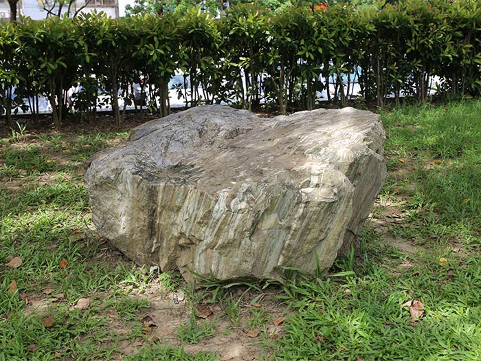 #174大理岩(含褶皺)