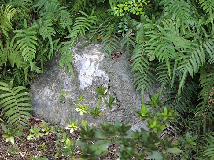 #181大理岩與綠泥片岩互層