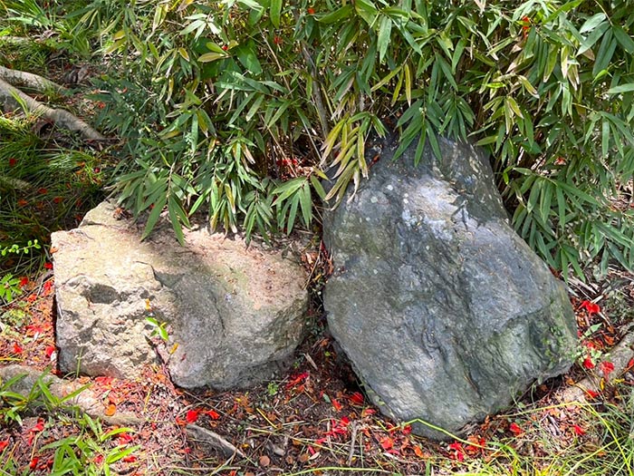 #182石灰岩、蛇紋岩