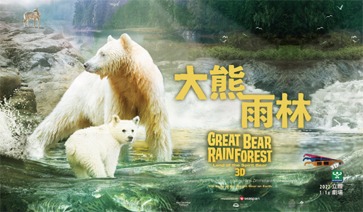大熊雨林