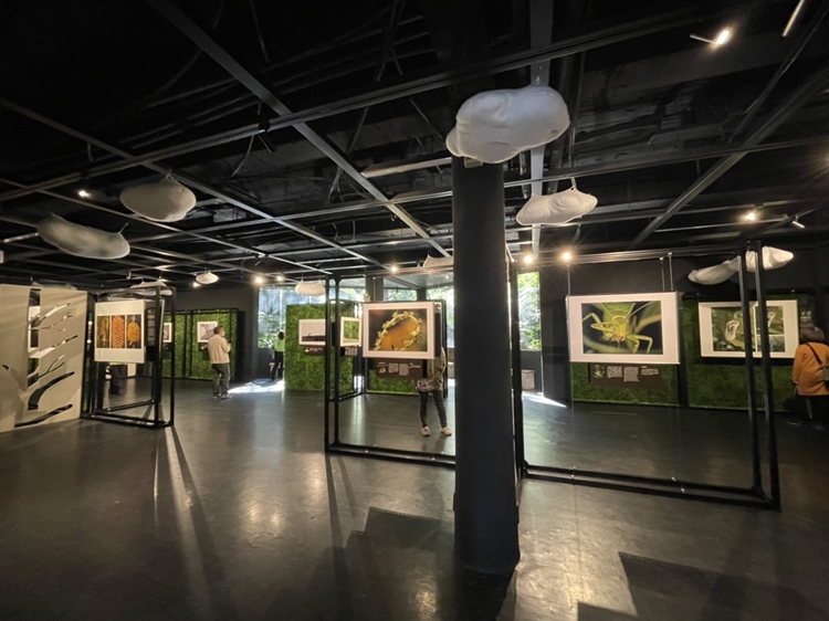 鳳凰谷鳥園生態園區即日起展出科學攝影展「自然與藝術之謎」