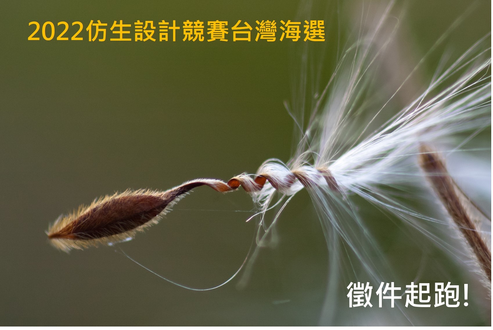 仿生設計競賽(Biomimicry Design Challenge) 仿生設計競賽(Biomimicry Design Challenge)