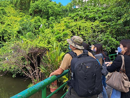 「原力植物園」-鳥類觀察