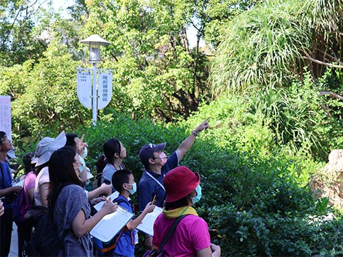 「原力植物園」-鳥類觀察