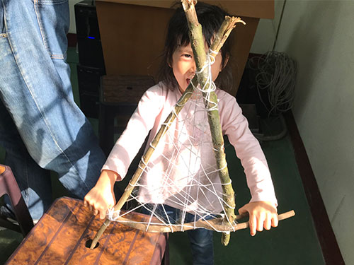 蜘蛛探秘與星空茶會之旅