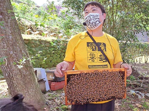 自然就該這樣玩系列-蜂與茶的生態之旅