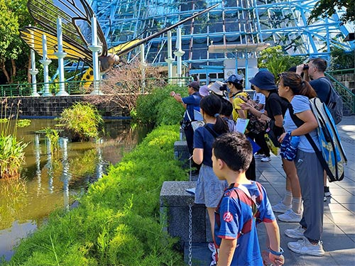 原力植物園-鳥類觀察