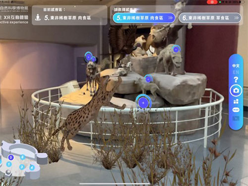 XR體驗