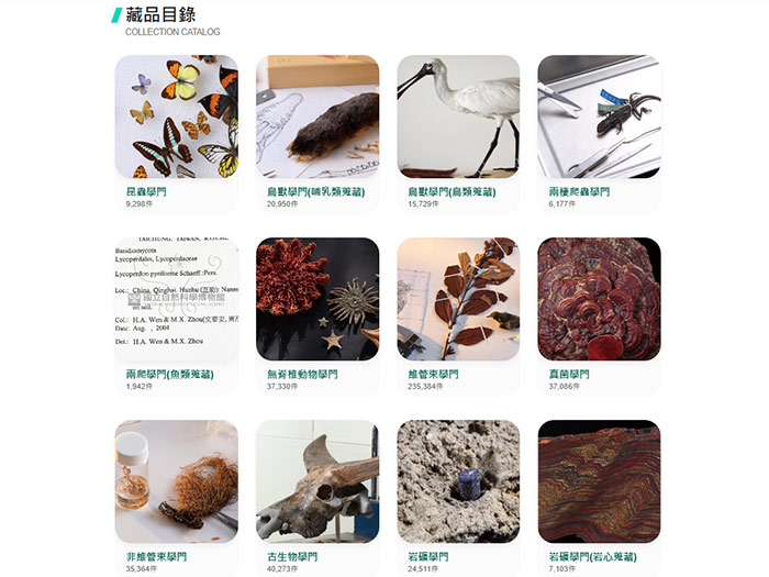 資訊多面向，科博典藏網再進化