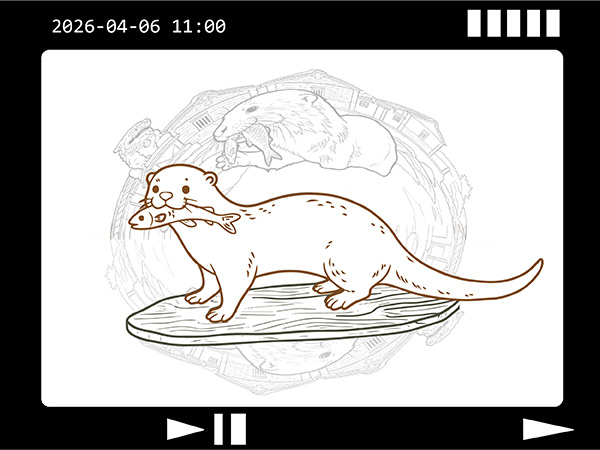 (四)	主題活動（含觀影）