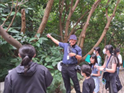 原力植物園-植物園裡找動物