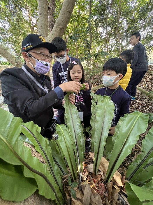 自然觀察家冬令營(1/25)-圖片80