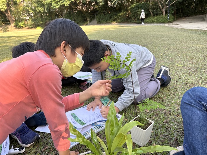 自然觀察家冬令營(1/25)-圖片196