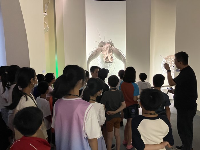 科博「藝」起來(7/13)-圖片19