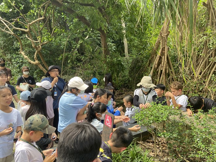 2024博物館樂學趣-自然科普好好玩暑期研習營-圖片56