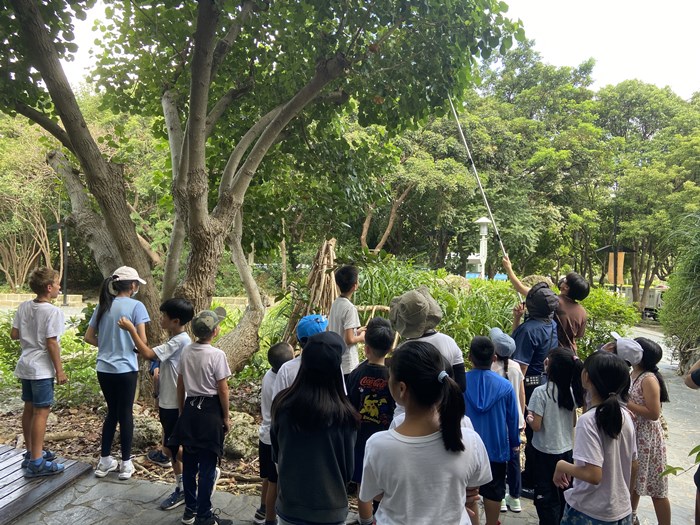 2024博物館樂學趣-自然科普好好玩暑期研習營-圖片57