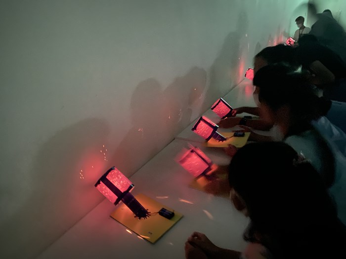2024博物館樂學趣-自然科普好好玩暑期研習營-圖片102