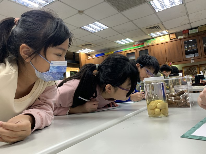 自然觀察家(1/25-26)-圖片23