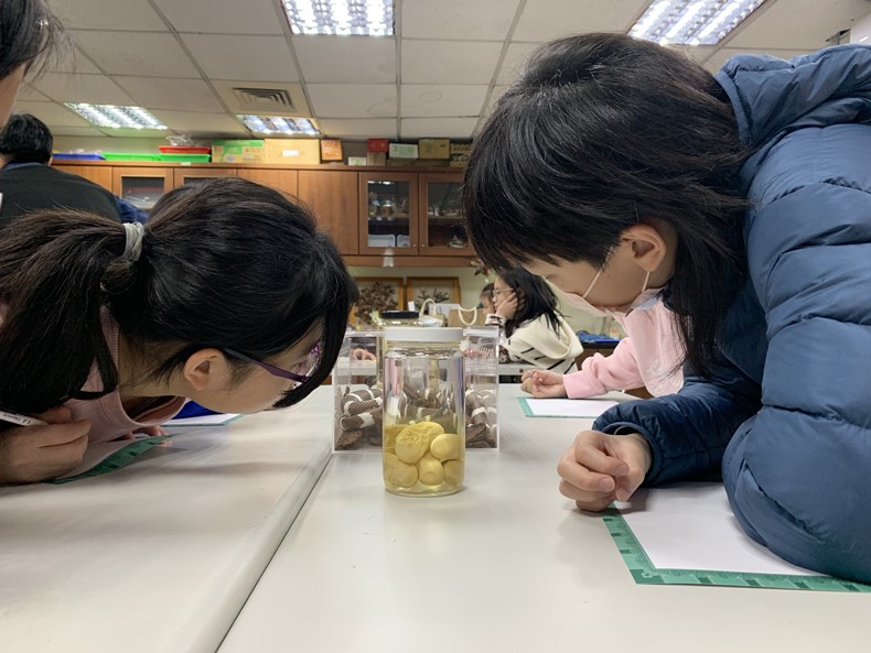自然觀察家(1/25-26)-圖片24