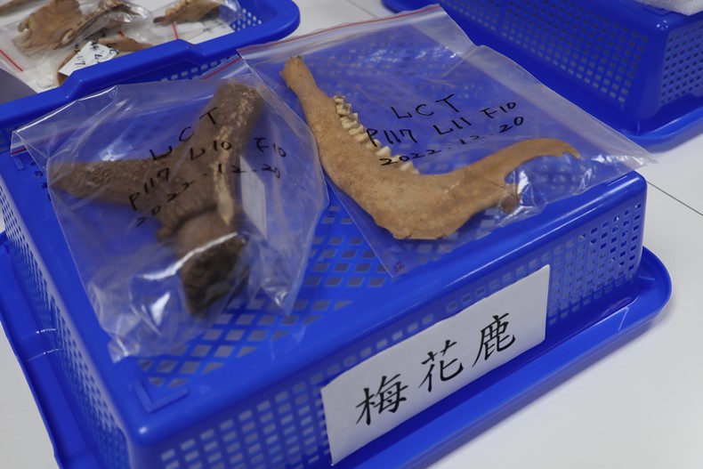 人類學組蒐藏庫開箱驚奇(2023/09/16)-圖片42