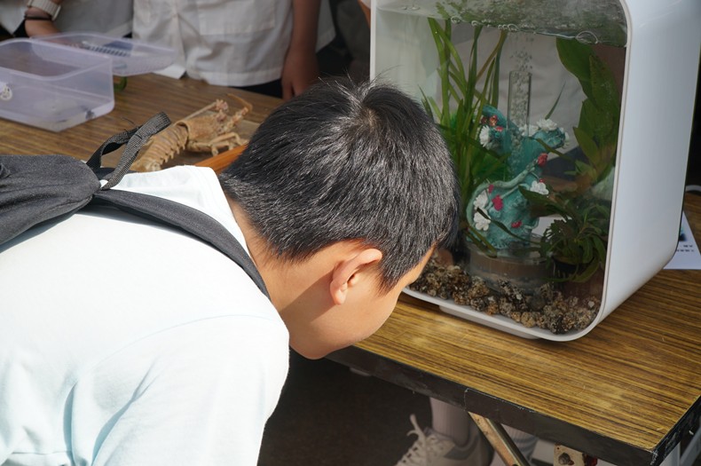 科學市集曬科學-3(11/8, 9)-圖片196