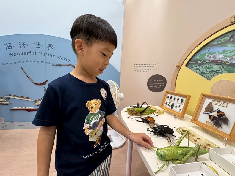 幼兒園：昆蟲大變身(11/08)-圖片5