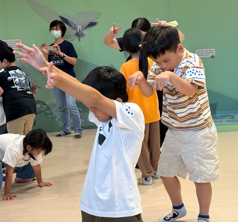 幼兒園：昆蟲大變身(11/08)-圖片16