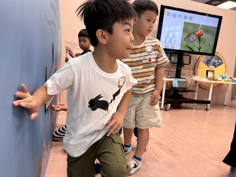 幼兒園：昆蟲大變身(11/08)-圖片18