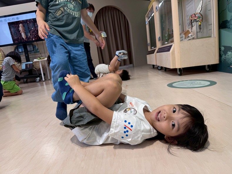 幼兒園：昆蟲大變身(11/08)-圖片31