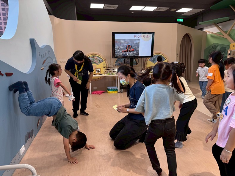 幼兒園：昆蟲大變身(11/08)-圖片34