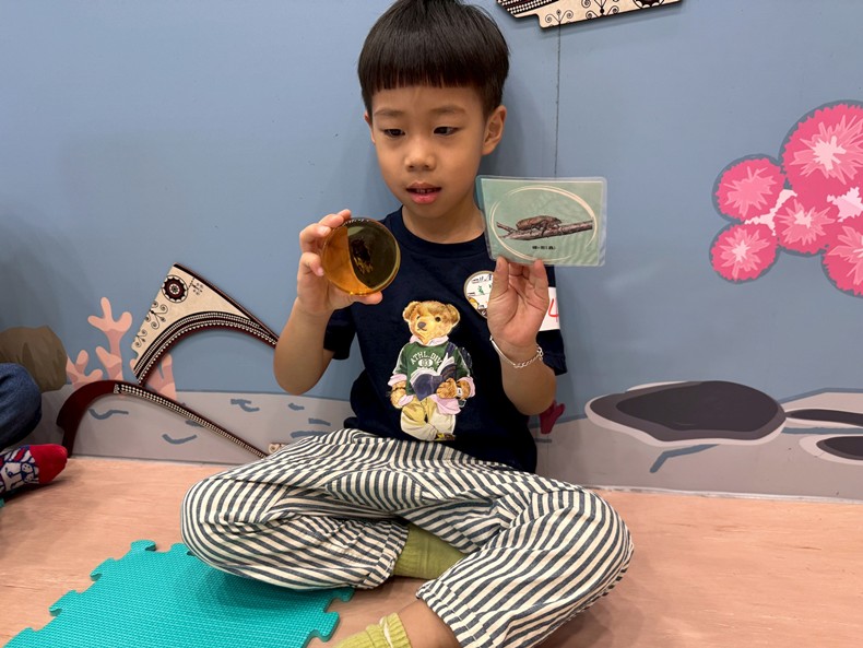 幼兒園：昆蟲大變身(11/08)-圖片63