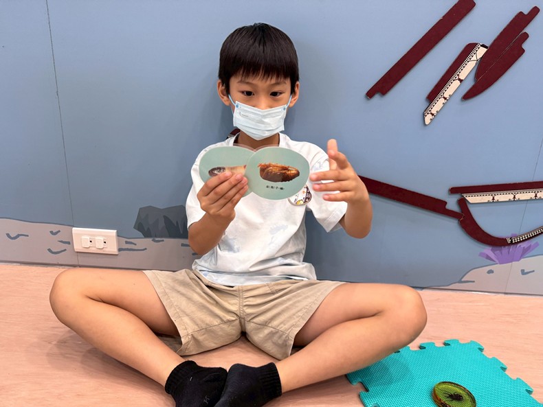 幼兒園：昆蟲大變身(11/08)-圖片65