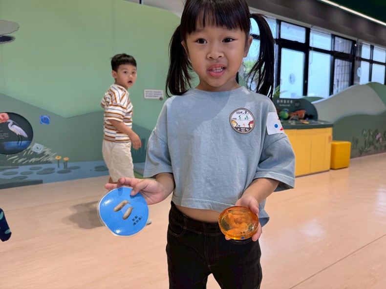 幼兒園：昆蟲大變身(11/08)-圖片66