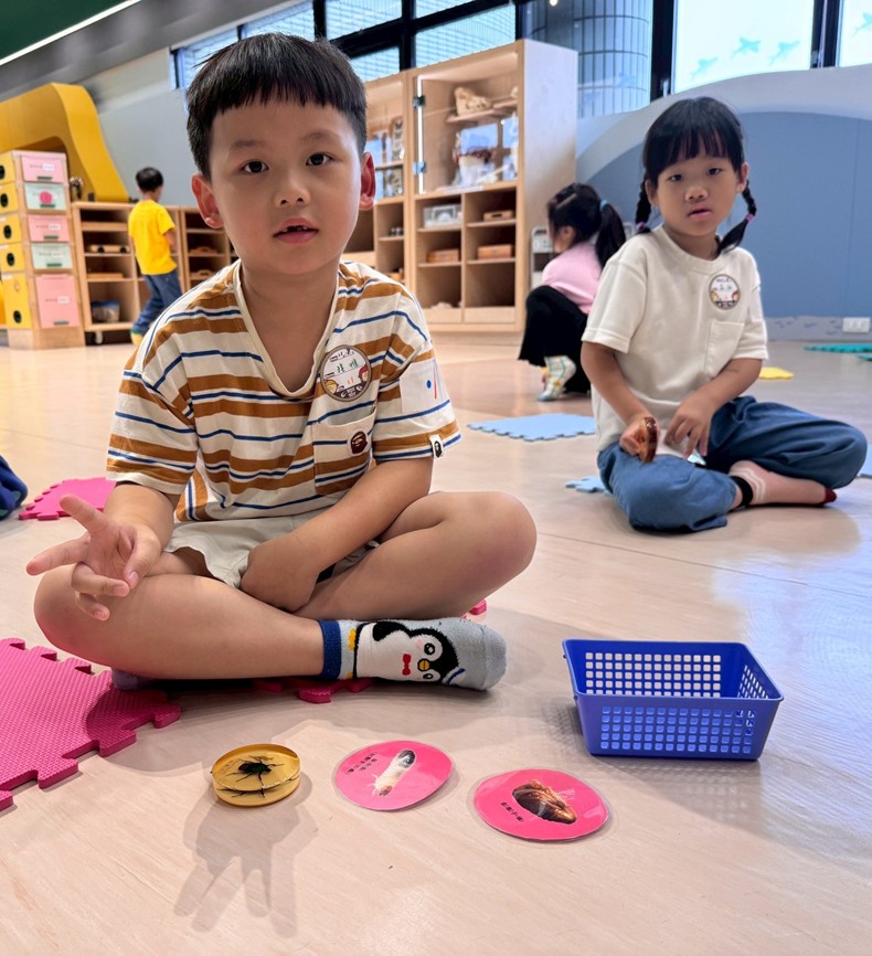 幼兒園：昆蟲大變身(11/08)-圖片70