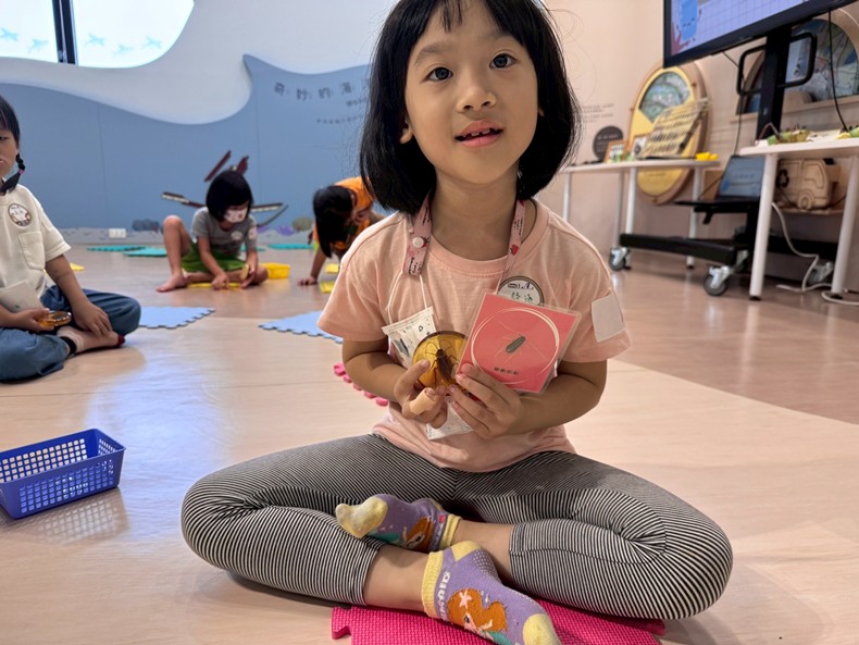 幼兒園：昆蟲大變身(11/08)-圖片71