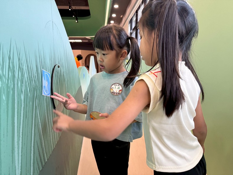 幼兒園：昆蟲大變身(11/08)-圖片80